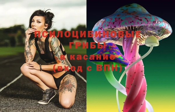 ГАЛЛЮЦИНОГЕННЫЕ ГРИБЫ Наволоки