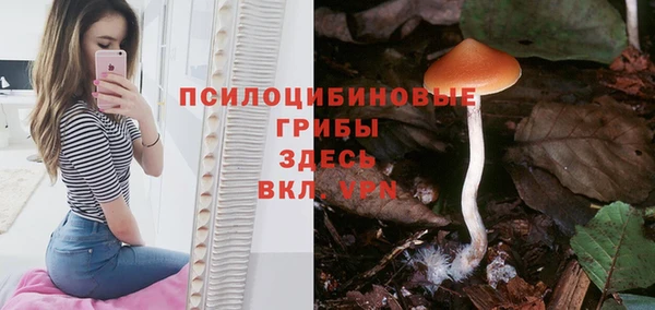 дживик Абинск