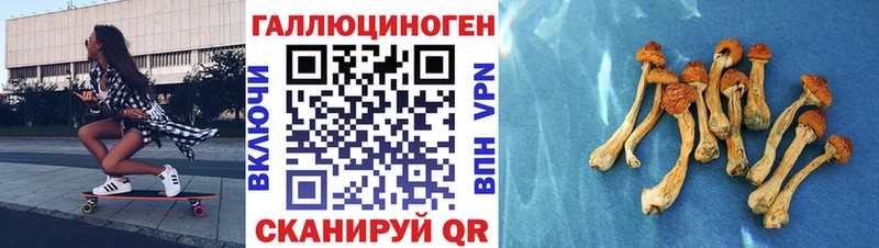 Галлюциногенные грибы Cubensis  хочу наркоту  Фёдоровский 